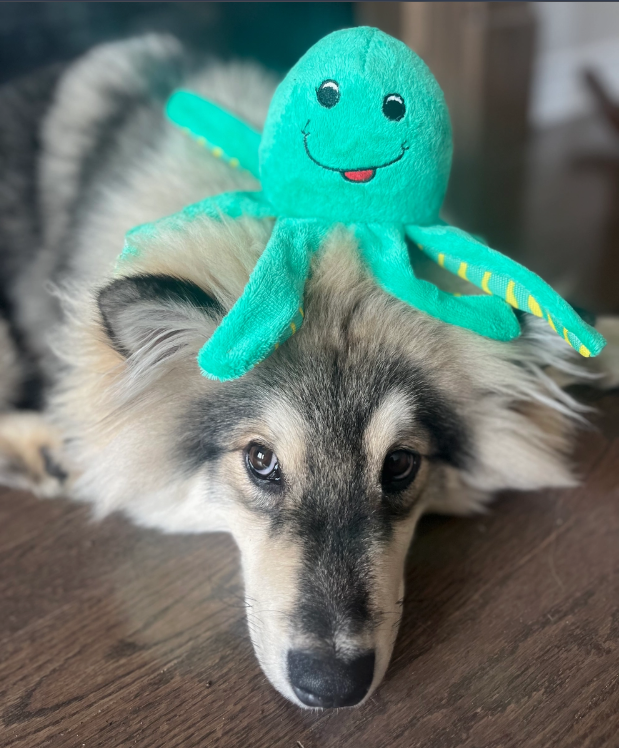 Clean Earth Recycled Plush Dog Toy- Octopus