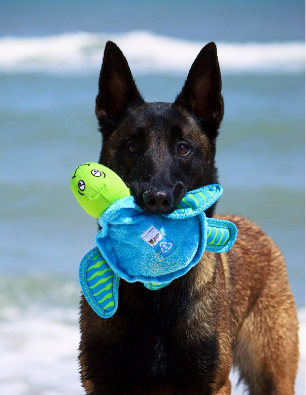 Clean Earth Recycled Plush Dog Toys- Sea turtle