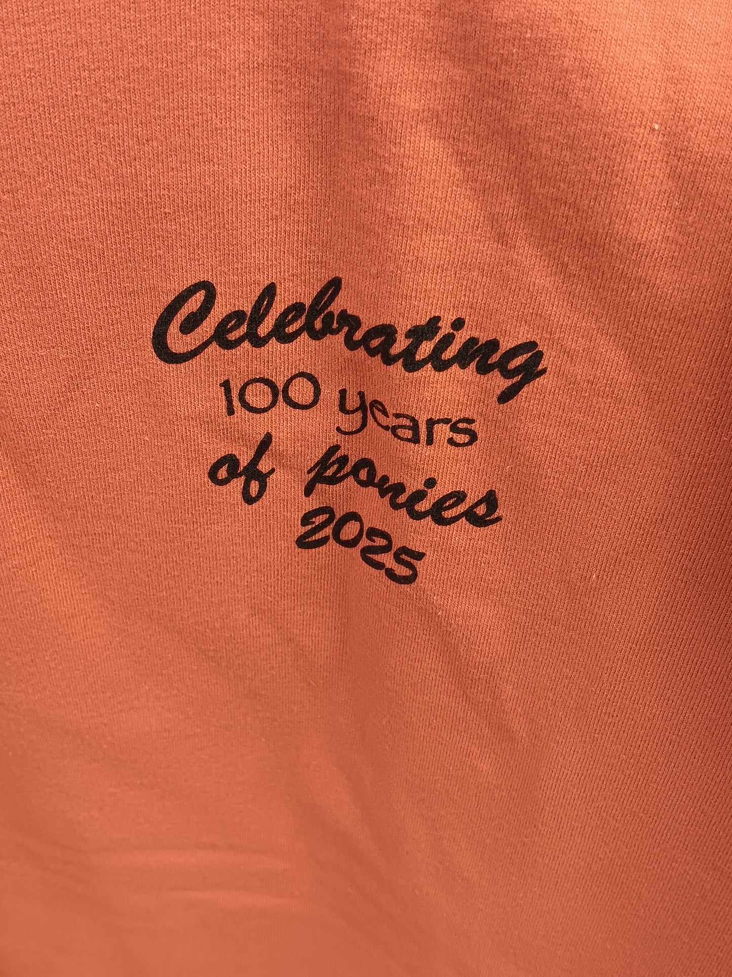 100th Pony Swim tee- Long sleeved