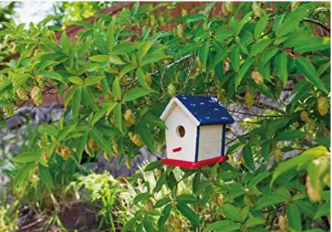 DIY Backyard Birdhouse Kit